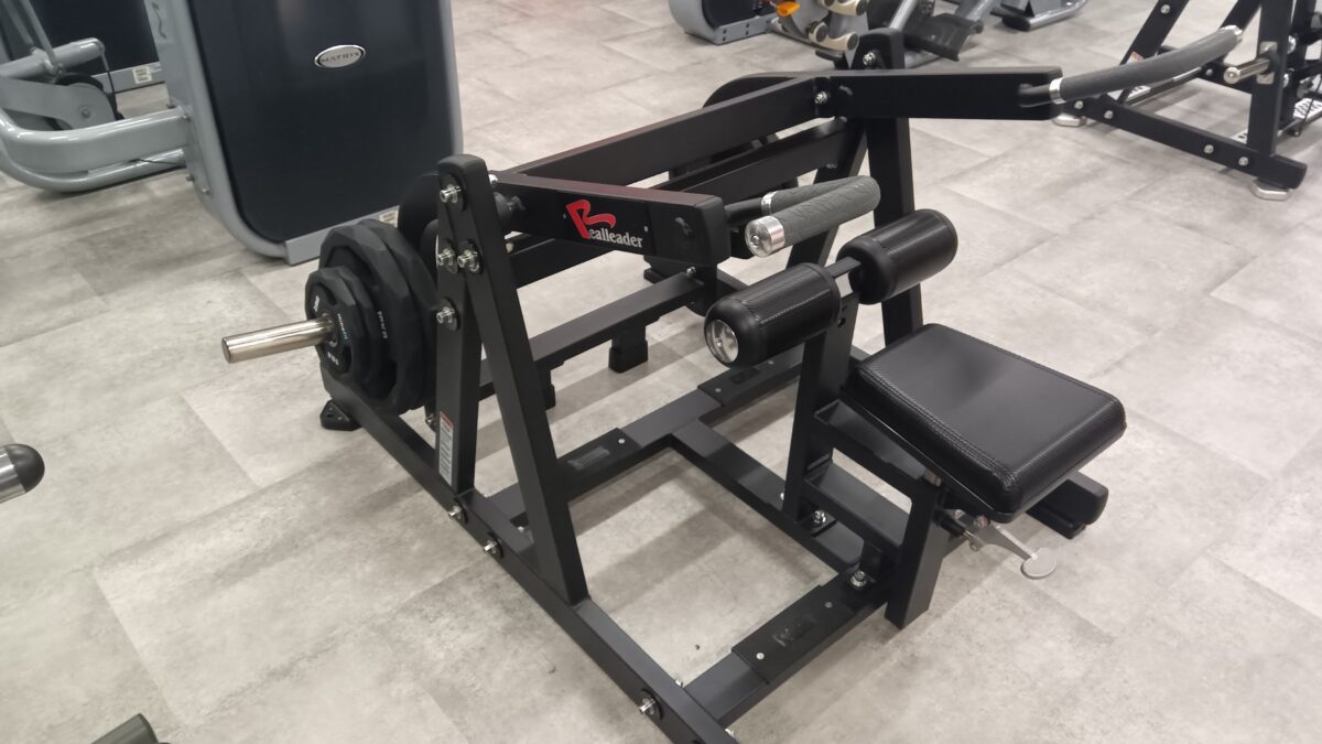 realleader社のプレートロード式のデイップスマシン。