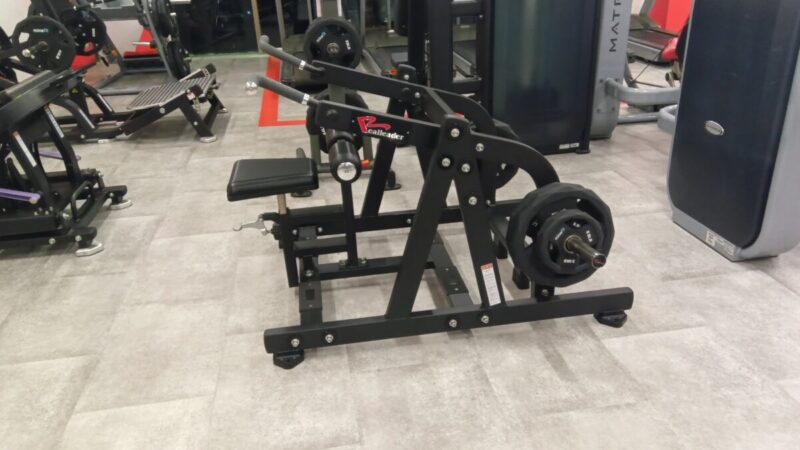 RealLeader ディップス プレートロード
