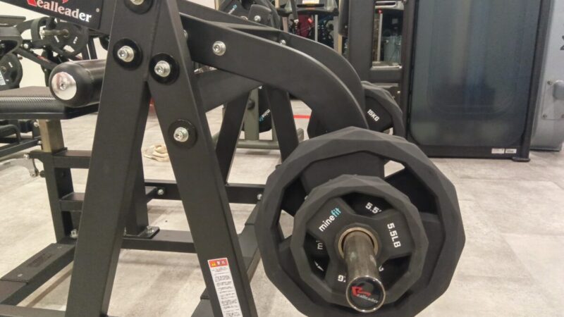 背もたれなし、三頭に集中｜RealLeader/ディップス（プレートロード）