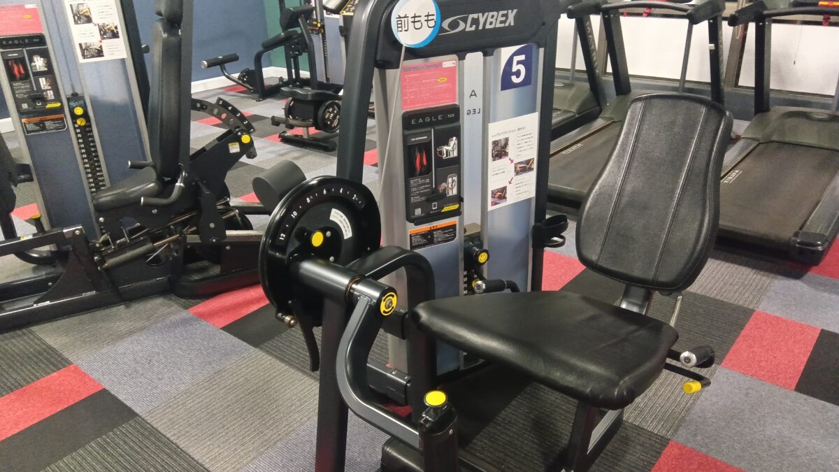 レッグエクステンション