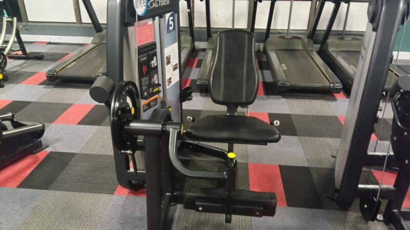 レッグエクステンション