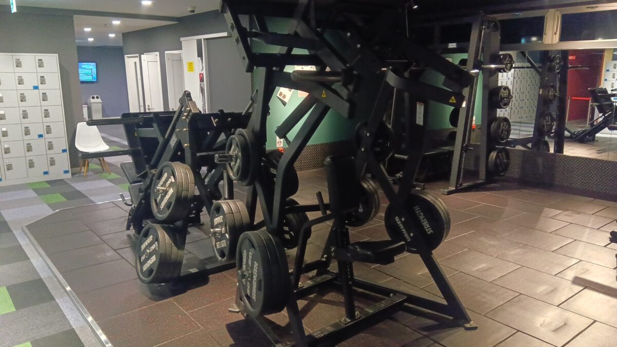 ハンマーストレングス ローロウ（DYロウ）