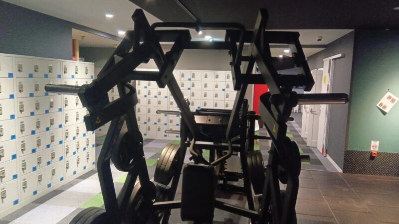 ハンマーストレングス ローロウ（DYロウ）