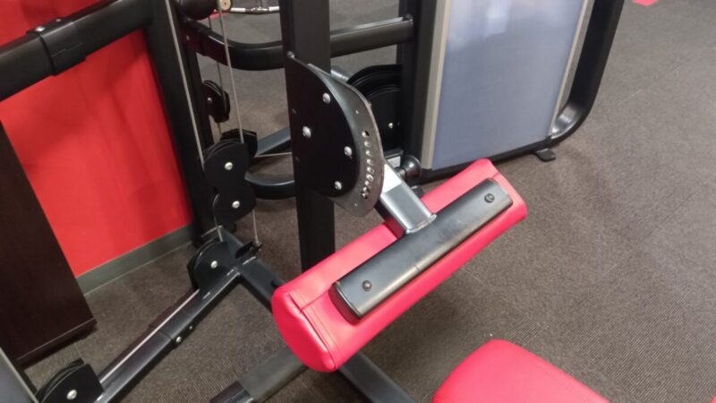 左右が勝手に動く珍しいラット｜CYBEX/ラットプルダウン（ウェイトスタック）
