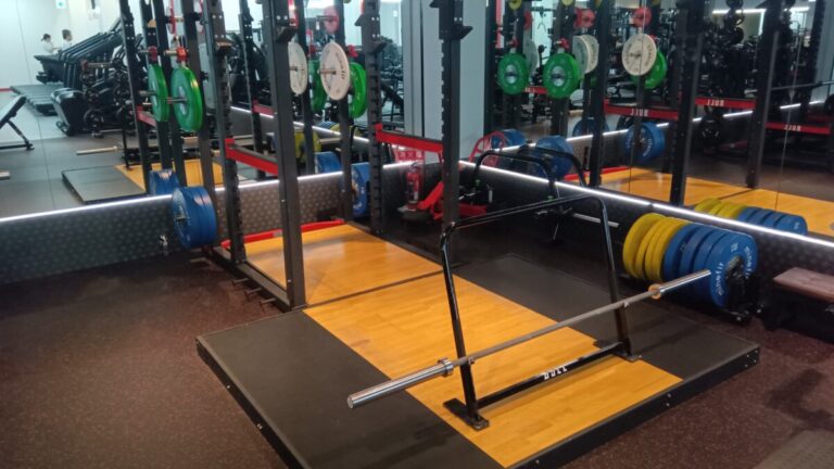 ジョイフィット巡り#11｜ジョイフィット24 ジムLITE メラード大和田：超大型×パワリフ仕様ラック（個人ブログ）