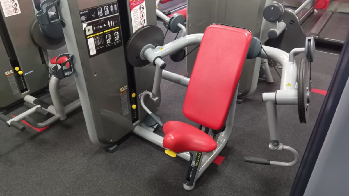 肘固定が難しくコントロールを｜テクノジム アームカール（ウェイトスタック）